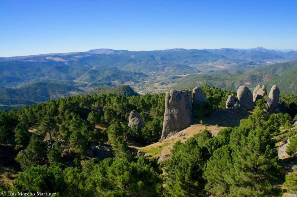 Casas Rurales Los Palenques Villaverde De Guadalimar Zewnętrze zdjęcie
