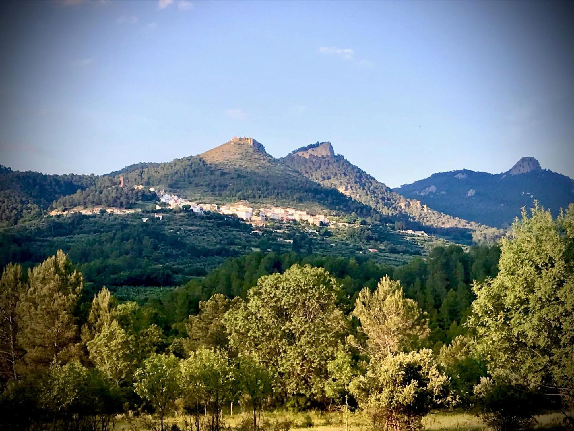 Casas Rurales Los Palenques Villaverde De Guadalimar Zewnętrze zdjęcie